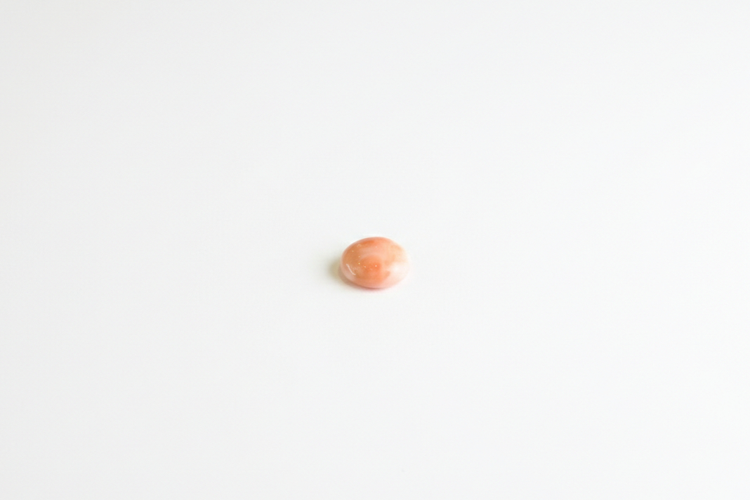 Момо шүрэн хөөргийн толгой